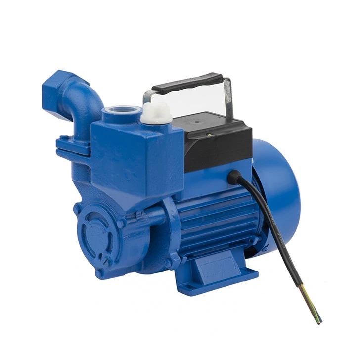 Izdb-65 0.75kw 1 pk stijging 50 m algemene elektrische messing impeller zelf-aanzuigende randwaterpomp